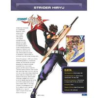 photo d'illustration pour l'article:Capcom 30th Anniversary Character Encyclopedia disponible